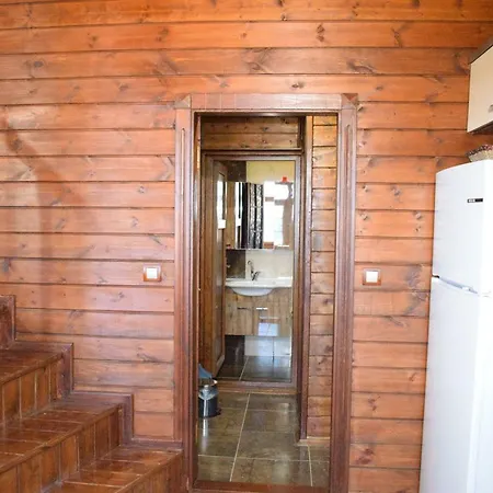 Villa Zahi Bungalov *