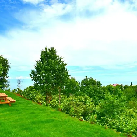 Zahi Bungalov * Trabzon