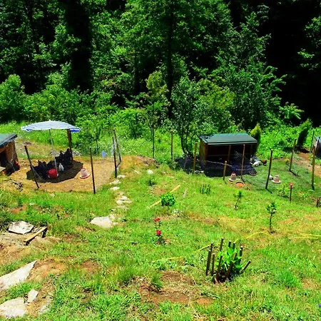 Zahi Bungalov Trabzon