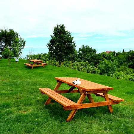 Zahi Bungalov