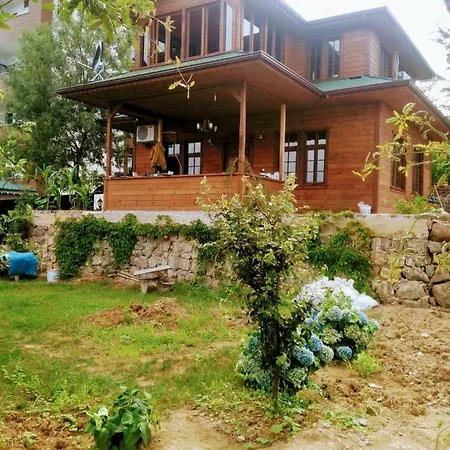 Villa Zahi Bungalov